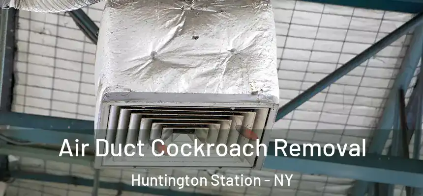 Air Duct Cockroach Removal Huntington Station - NY