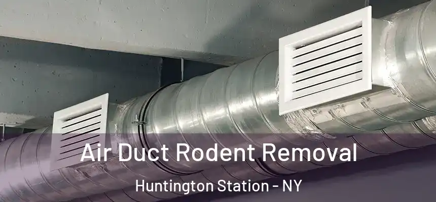 Air Duct Rodent Removal Huntington Station - NY