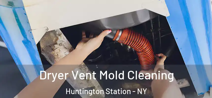 Dryer Vent Mold Cleaning Huntington Station - NY