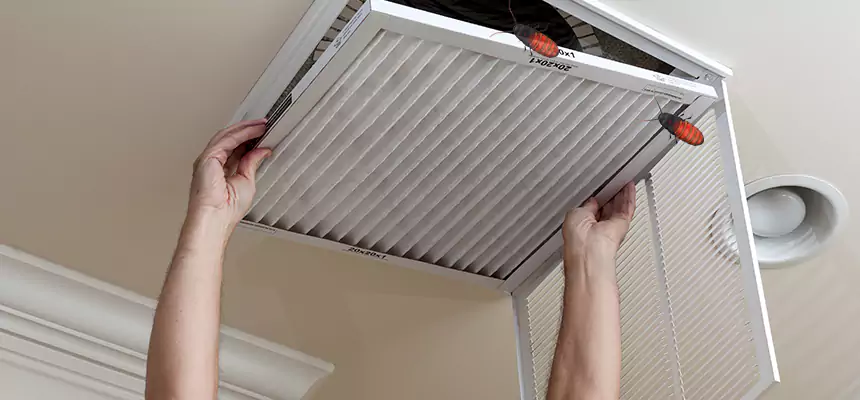 Preventive Cockroach-Proofing for Ducts in Huntington Station