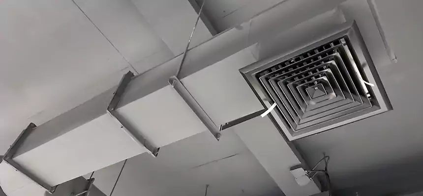 Our Pest Removal From Ducts Services in Huntington Station, NY