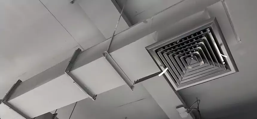 Our Rodent Droppings In Vents Services in Huntington Station, NY