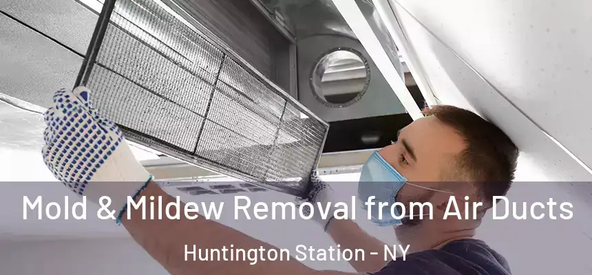 Mold & Mildew Removal from Air Ducts Huntington Station - NY