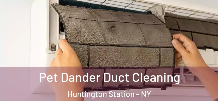 Pet Dander Duct Cleaning Huntington Station - NY