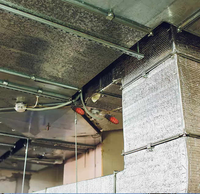 Why Homeowners & Businesses Trust Us in Huntington Station, NY?